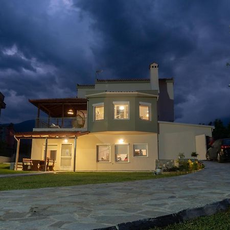 Aelia Villa Leptokarya Plaka Litochorou Bagian luar foto
